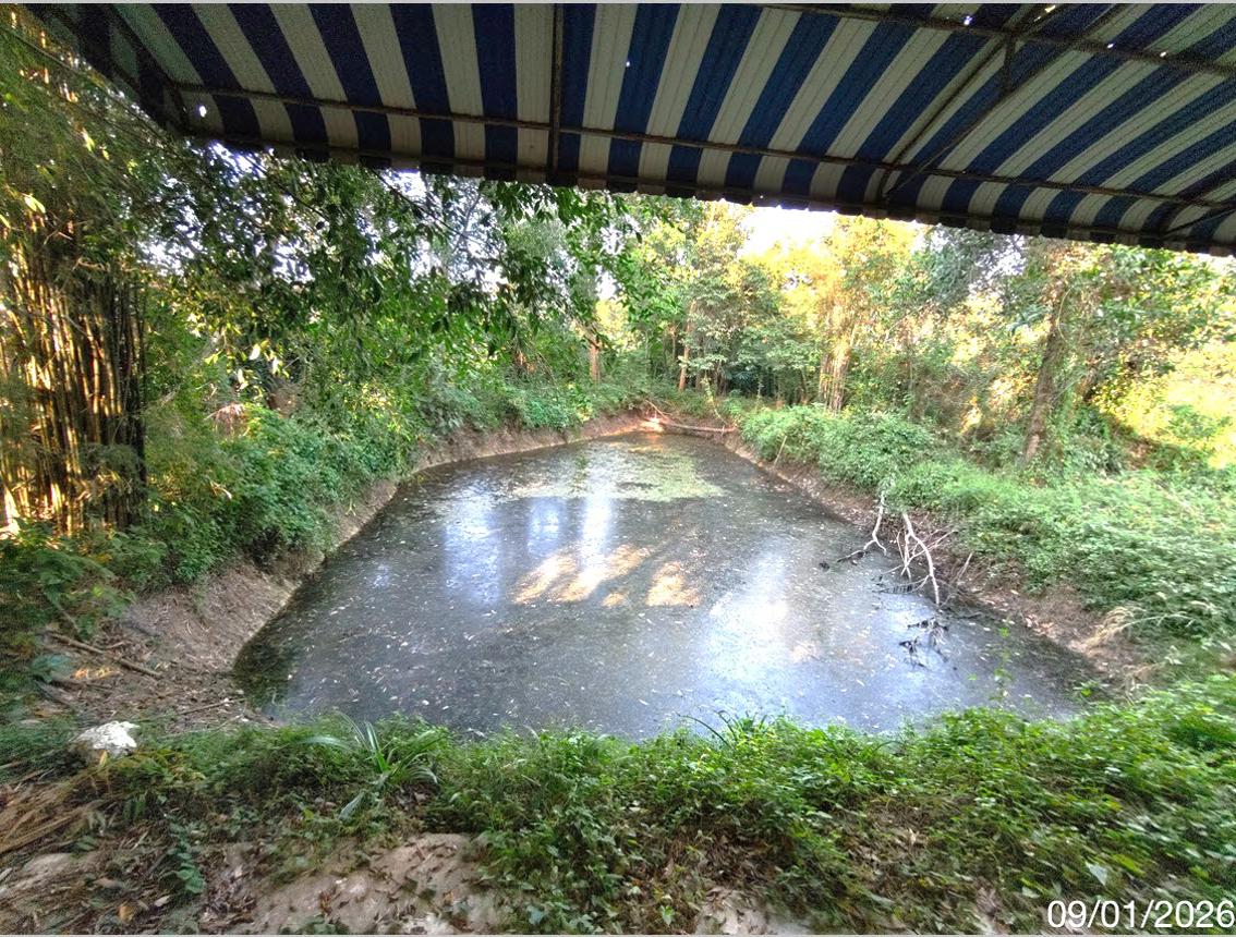 รูป โกดัง 798.9 ตร.วา แกลง ระยอง 4.2M - รูปที่ 35/39