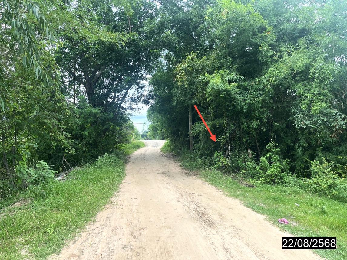picture LAND 4242 Sq.w. Yang Si Surat Maha Sarakham for 2.8M - 15/19