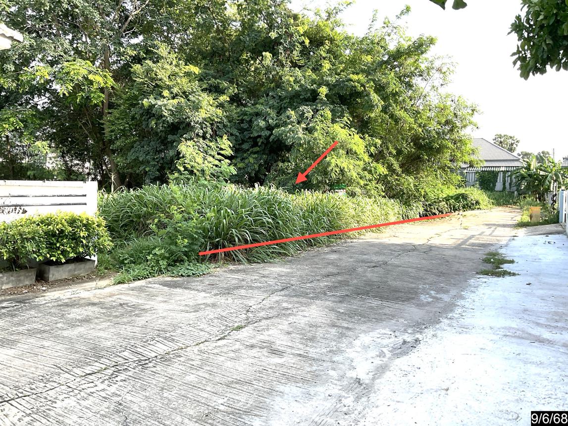 picture LAND 80 Sq.w. Muang Khon Kaen Khon Kaen for 1.2M - 14/19