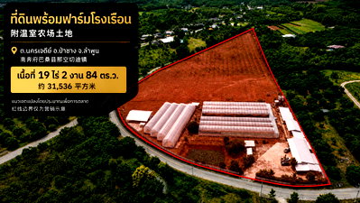 ที่ดิน ป่าซาง ลำพูน : ขายฟาร์มโรงเรือนพร้อมที่ดิน 19 ไร่+ ป่าซาง ลำพูน — โรงเรือน 5 หลัง พร้อมอาคาร ระบบน้ำ และพื้นที่ต่อยอด