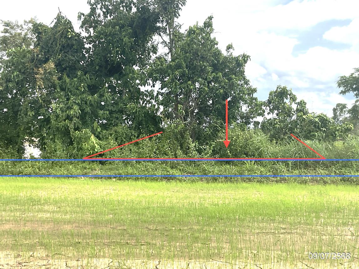 รูป ที่ดินว่างเปล่า 1292.7 ตร.วา เมืองพะเยา พะเยา 668,000 - รูปที่ 11/21