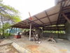 listing thumbnail image 20