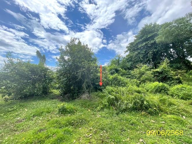 picture LAND 61.8 Sq.w. Hat Yai Songkhla for 354,000 - 5/15