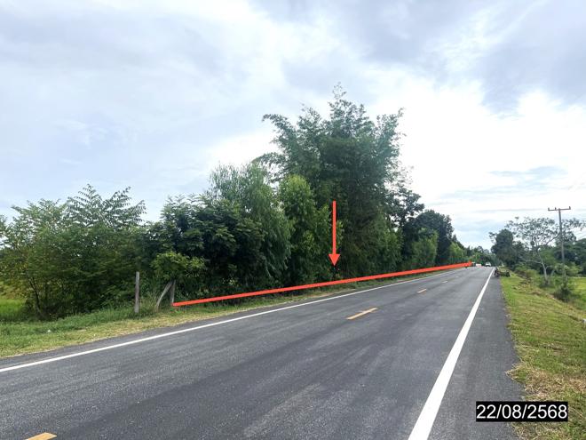picture LAND 4242 Sq.w. Yang Si Surat Maha Sarakham for 2.8M - 6/19