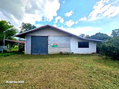 บ้านเดี่ยว พรหมพิราม พิษณุโลก : บ้านเดี่ยว 160.7 ตร.วา พรหมพิราม พิษณุโลก 1.4M