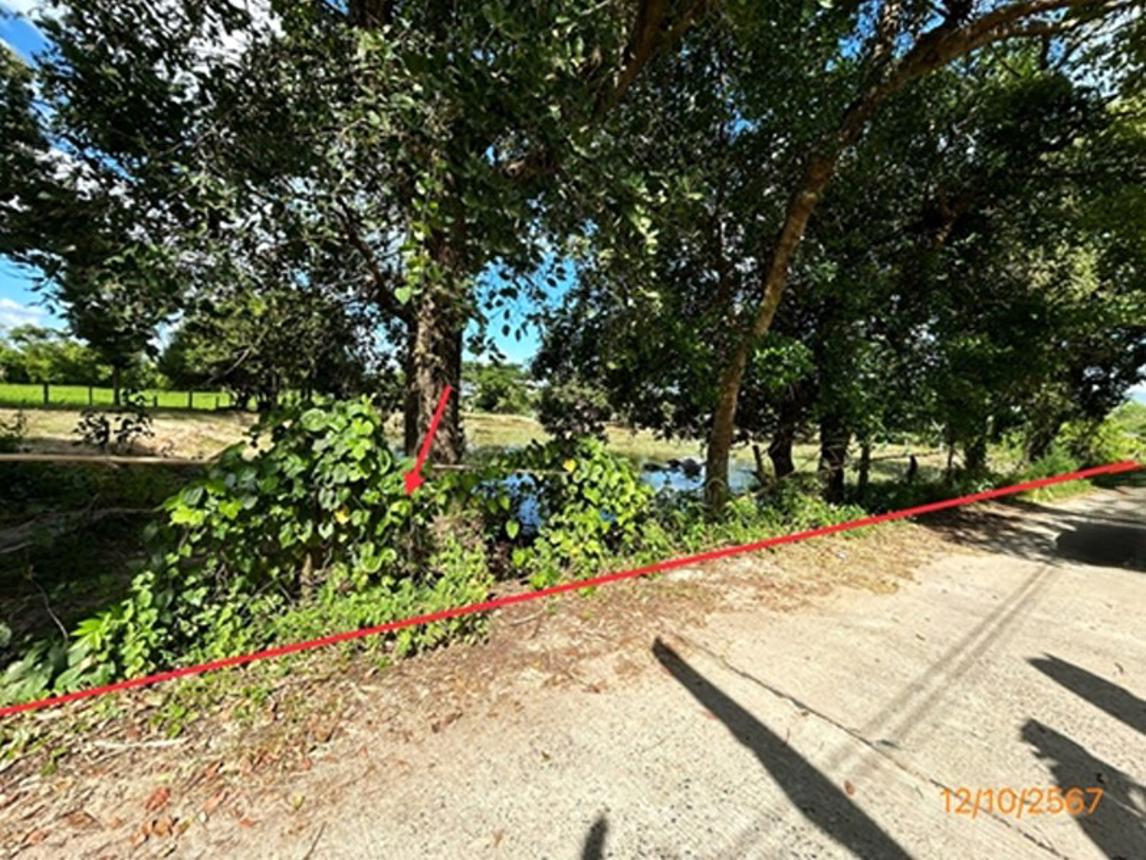 picture LAND 985 Sq.w. Khuang Nai Ubon Ratchathani for 1.2M - 11/19