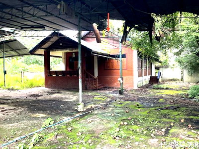 บ้านเดี่ยว แม่จัน เชียงราย : บ้านเดี่ยว 2082 ตร.วา แม่จัน เชียงราย 3.4M