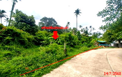Land for sale Ko Samui Surat Thani : LAND 1708 Sq.w. Ko Samui Surat Thani for 12.7M