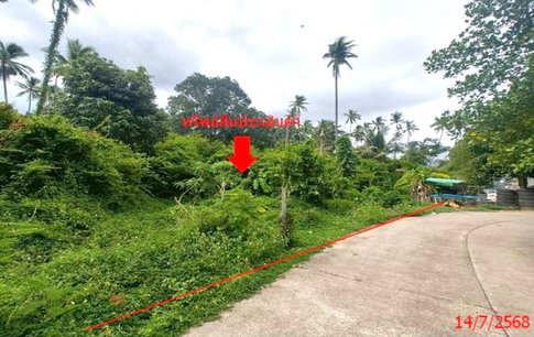 LAND 1708 Sq.w. Ko Samui Surat Thani for 12.7M