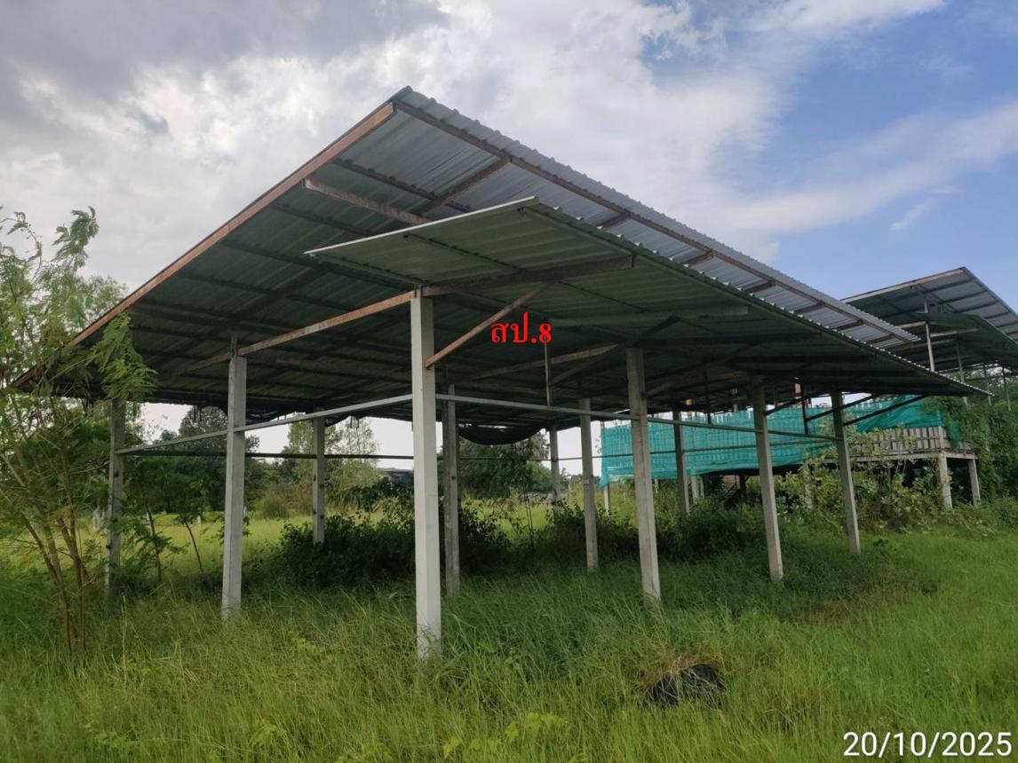 picture FACTORY 12659 Sq.w. Phayakkhaphum Phisai Maha Sarakham for 5.4M - 30/37