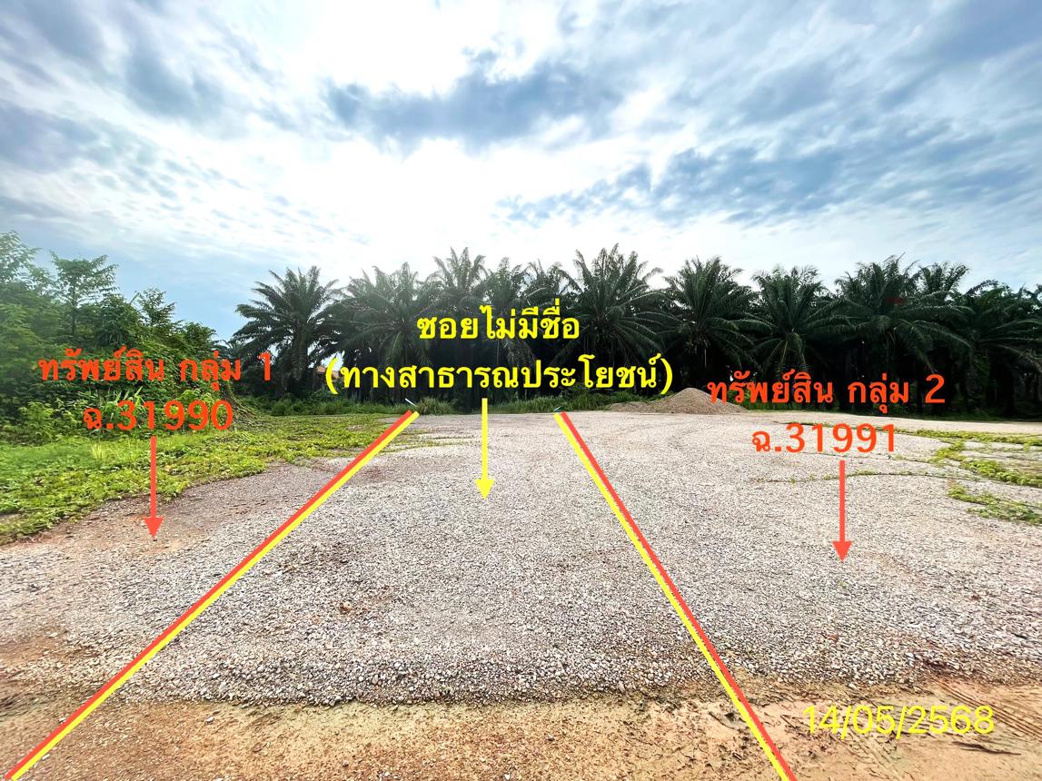 picture LAND 564.2 Sq.w. Palian Trang for 4.2M - 21/25