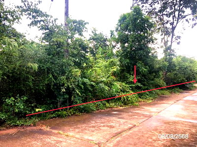 Land for sale Muang Phetchabun Phetchabun : LAND 2774 Sq.w. Muang Phetchabun Phetchabun for 1.6M