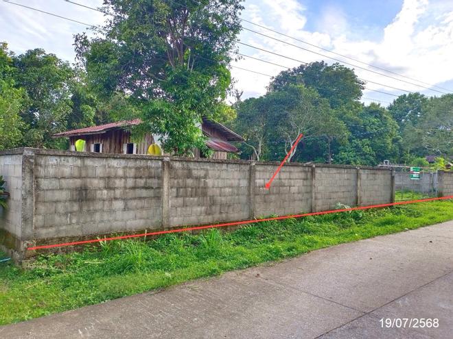 รูป บ้านเดี่ยว 288 ตร.วา แม่จัน เชียงราย 937,000 - รูปที่ 11/25