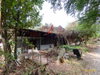 listing thumbnail image 35