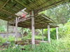 listing thumbnail image 63