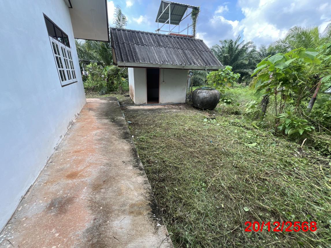 รูป บ้านเดี่ยว 576.7 ตร.วา เมืองสุราษฎร์ธานี สุราษฎร์ธานี 4.5M - รูปที่ 19/33