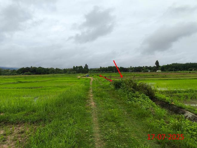 picture LAND 2709 Sq.w. Hang Chat Lamphang for 1.2M - 9/23