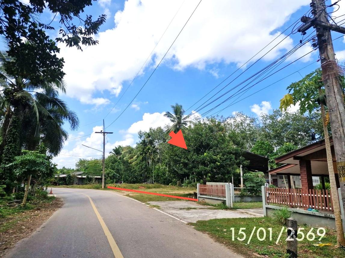 picture FACTORY 179 Sq.w. Huai Yot Trang for 962,000 - 15/19