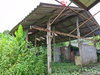 listing thumbnail image 25