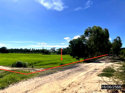 Land for sale Phayakkhaphum Phisai Maha Sarakham : LAND 2647 Sq.w. Phayakkhaphum Phisai Maha Sarakham for 929,000