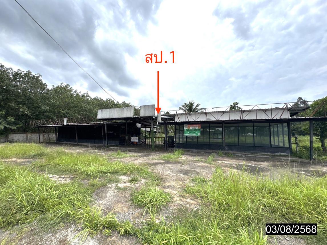 รูป โกดัง 11795 ตร.วา เดชอุดม อุบลราชธานี 37.3M - รูปที่ 35/71