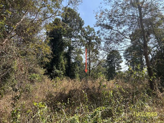 รูป โกดัง 8948 ตร.วา เดชอุดม อุบลราชธานี 13.7M - รูปที่ 12/31