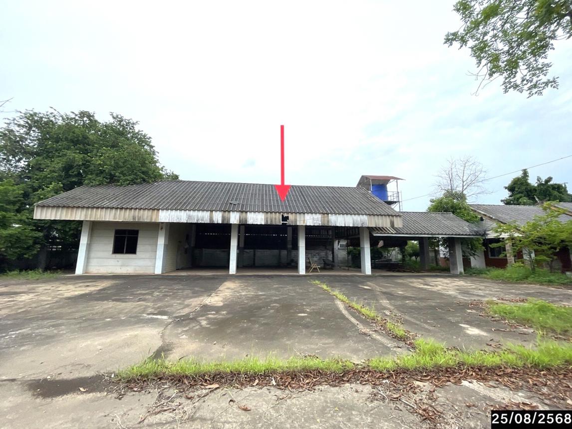 picture HOME 529 Sq.w. Yang Talat Kalasin for 5.2M - 53/61