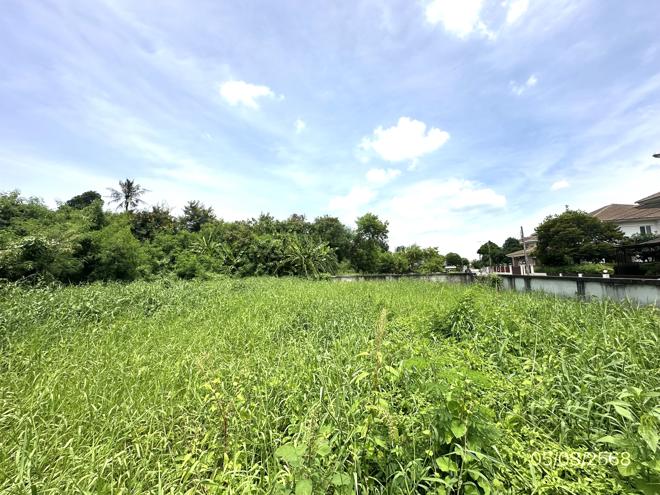 picture LAND 226 Sq.w. Bang Khae Bangkok for 6.9M - 6/15