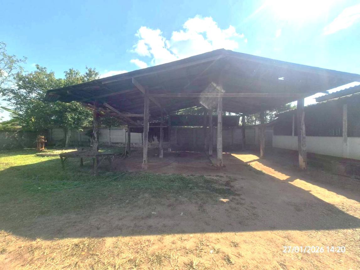รูป บ้านเดี่ยว 1228 ตร.วา ลี้ ลำพูน 2.6M - รูปที่ 41/45