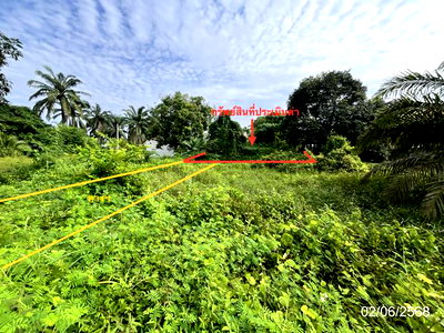 Land for sale Prasaeng Surat Thani : LAND 182.2 Sq.w. Prasaeng Surat Thani for 877,000