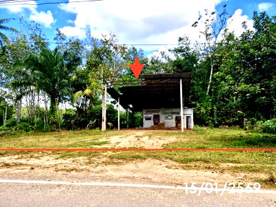 Factory for sale Trang : FACTORY 179 Sq.w. Huai Yot Trang for 962,000