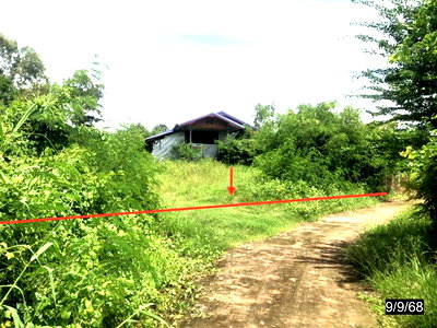 บ้านเดี่ยว ชัยภูมิ : บ้านเดี่ยว 671 ตร.วา ภูเขียว ชัยภูมิ 944,000
