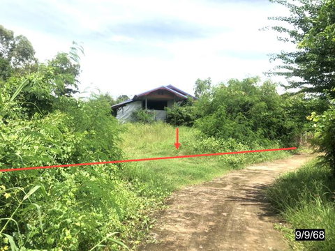 บ้านเดี่ยว 671 ตร.วา ภูเขียว ชัยภูมิ 944,000