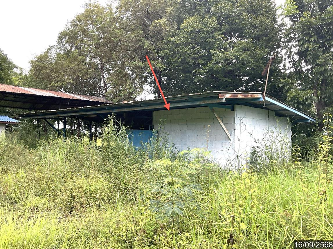 picture HOME 3722 Sq.w. Phaya Mengrai Chiang Rai for 6M - 40/55