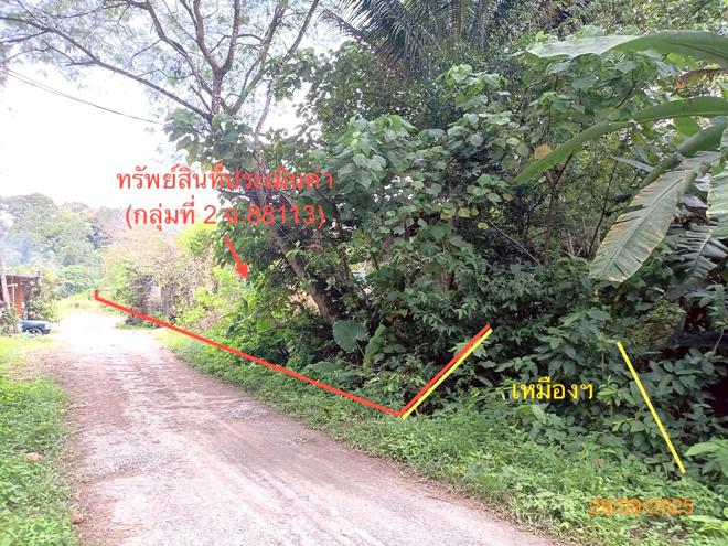 picture FACTORY 1026.6 Sq.w. Muang Trang Trang for 1.7M - 14/35
