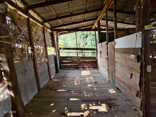 รูป บ้านเดี่ยว 199 ตร.วา สุวรรณคูหา หนองบัวลำภู 489,000 - รูปที่ 15/33