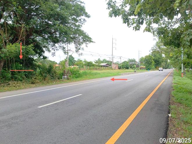 picture LAND 2134.8 Sq.w. Wichian Buri Phetchabun for 4.2M - 2/21