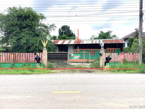 รูป บ้านเดี่ยว 540 ตร.วา ทรายทองวัฒนา กำแพงเพชร 2M - รูปที่ 38/41