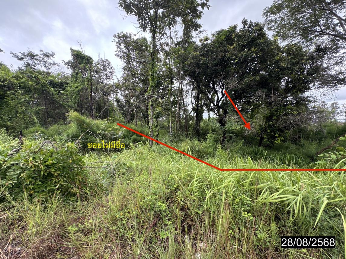 picture LAND 5200 Sq.w. Senangkhanikhom Amnat Charoen for 3.7M - 21/25