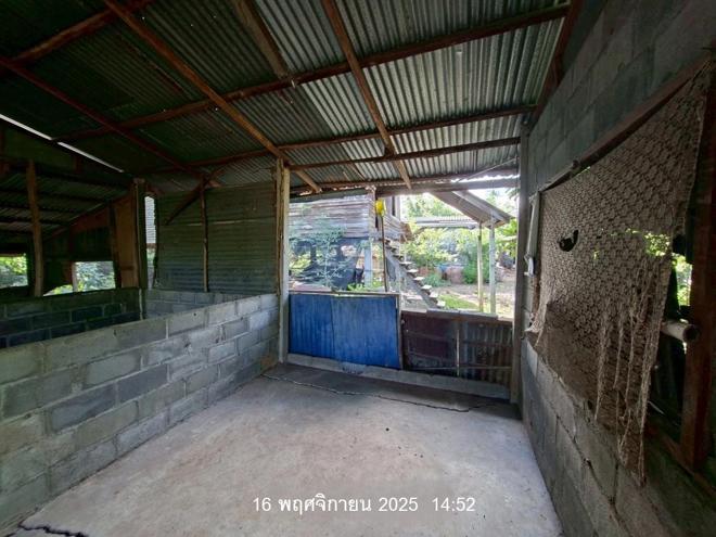 รูป บ้านเดี่ยว 117 ตร.วา หนองไผ่ เพชรบูรณ์ 303,000 - รูปที่ 5/29