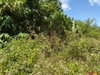listing thumbnail image 31