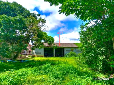 Factory for sale Mae Sai Chiang Rai : FACTORY 189.2 Sq.w. Mae Sai Chiang Rai for 771,000