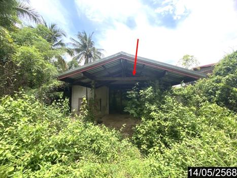 รูป บ้านเดี่ยว 135 ตร.วา โพนพิสัย หนองคาย 928,000 - รูปที่ 22/25