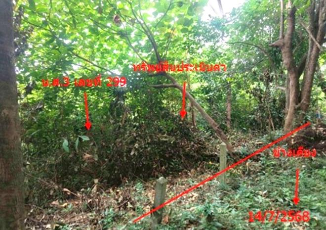 รูป ที่ดินว่างเปล่า 1708 ตร.วา เกาะสมุย สุราษฎร์ธานี 12.7M - รูปที่ 6/17