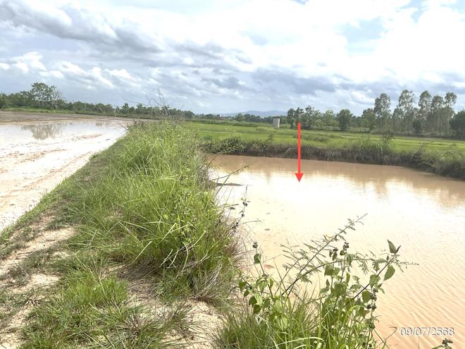 รูป ที่ดินว่างเปล่า 1292.7 ตร.วา เมืองพะเยา พะเยา 668,000 - รูปที่ 5/21