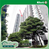 listing thumbnail image 14