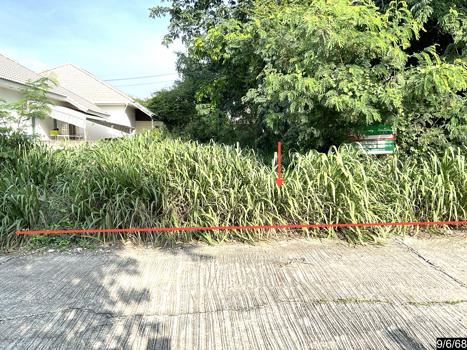 picture LAND 80 Sq.w. Muang Khon Kaen Khon Kaen for 1.2M - 16/19
