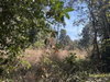 listing thumbnail image 25