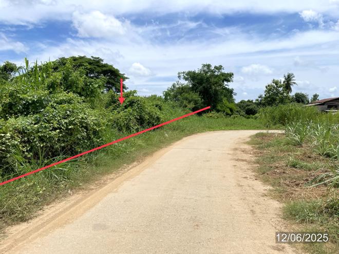 picture LAND 1271.2 Sq.w. Sawankhalok Sukhothai for 4.2M - 4/17