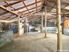 listing thumbnail image 20